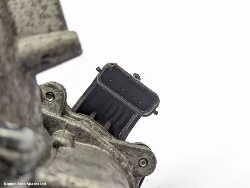 8d79623a-4154-49b9-996f-1245fd128886.jpeg?