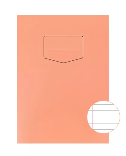 SN312_Ruling.jpg