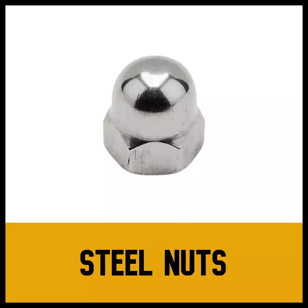 Steel Nuts