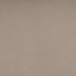 Ivory Swatch.png