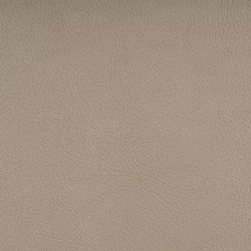 Ivory Swatch.png