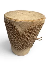 SKIN DRUM 2 (1).jpg