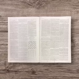 Victorian Newspapers 4.jpg
