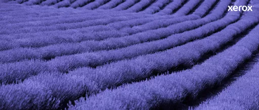 y9cyXZ33ikuU1nGrrNIq5w.c-r.jpg?