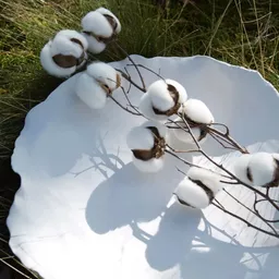 Screenshot 2025-11-19 at 12.48.20.jpg