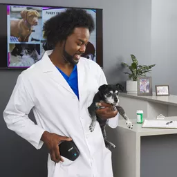 rA967BfTAkOO6bLDXMS_-w.c-r.jpg?