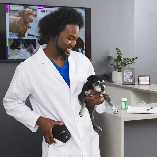 rA967BfTAkOO6bLDXMS_-w.c-r.jpg?