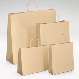 Natural-kraft-unprinted-twist-handle-bag-GROUP.jpg