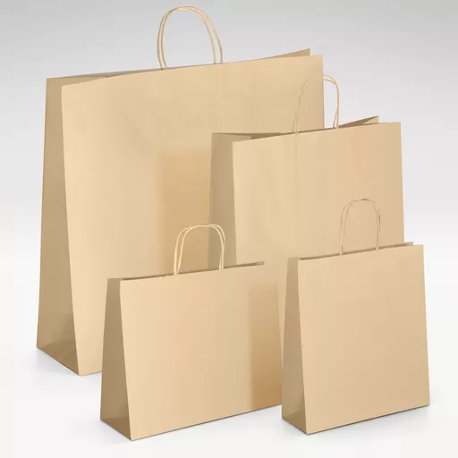 Natural kraft unprinted twist handles bag