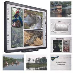 Key to... Amazon Basin Web Image3.jpg