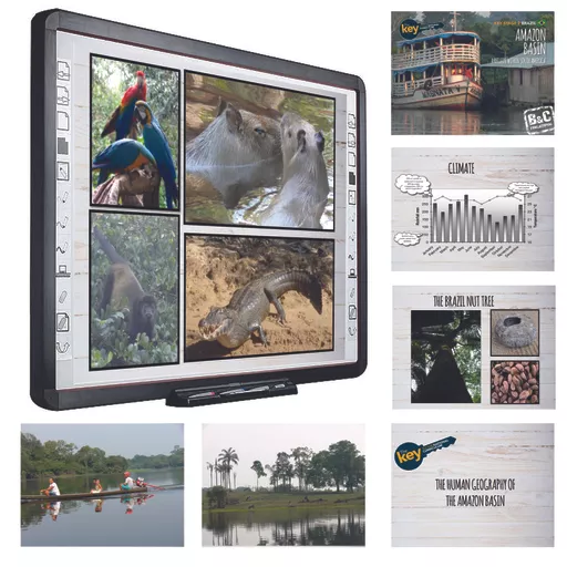 Key to... Amazon Basin Web Image3.jpg