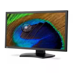 NEC-60004941-Monitor-15.jpg