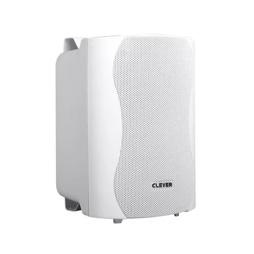 Clever Acoustics BGS25T 100v White Speakers (Pair)