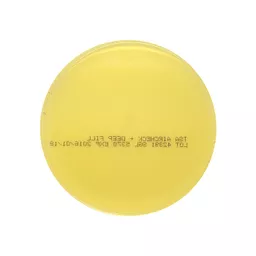 1583145009ab672a5fafb80caac9784cb6b56ce828.jpg?