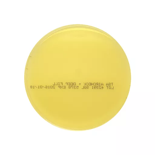 TSA AIRCHECK + - IRR 3 X WRAP VHP, DEEP FILL 90mm plates PK10