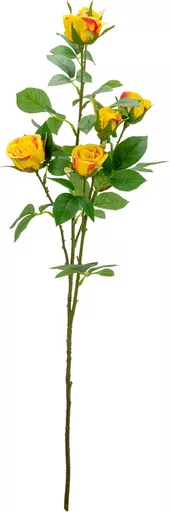 IT393841.jpg