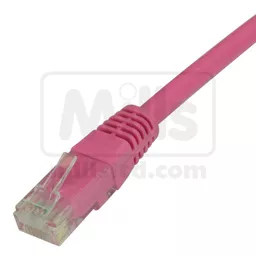 cat6-pink_11.jpg
