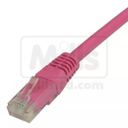 cat6-pink_11.jpg