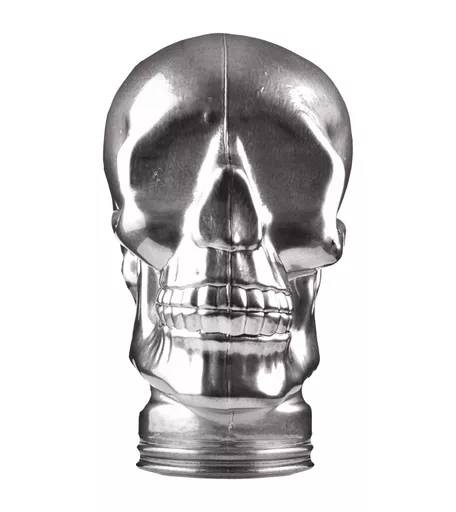 Silver Glass Display Skull