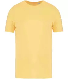 NS300%20PNP%20FRONT.jpg?