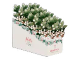 IT382235.webp