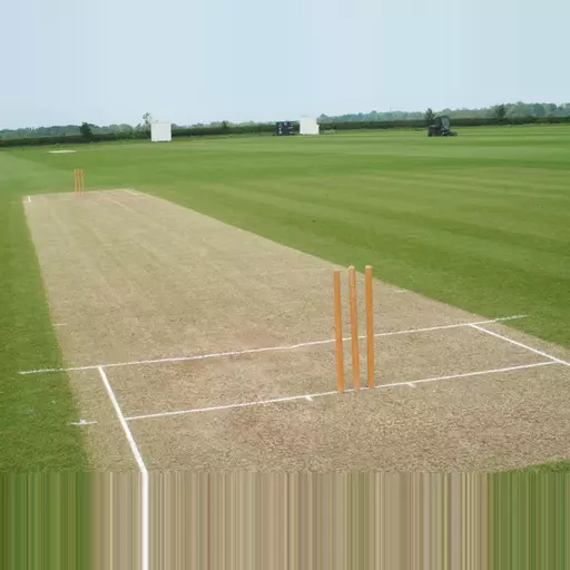cricket-pitchand-stumps-jpg.jpg