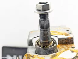 26b02309-75ae-447f-87f7-4e85dc0a754f.jpeg?