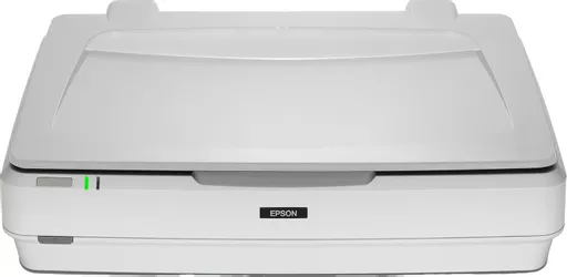 Epson Expression 13000XL Flatbed scanner 2400 x 4800 DPI A3 White