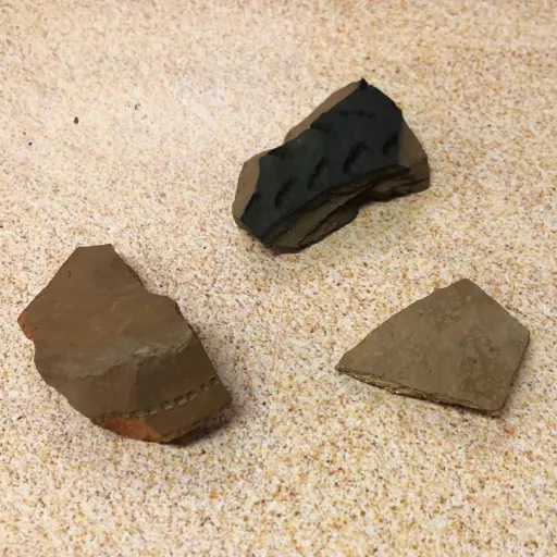 Stone Age Archaeological Dig Starter Pack b.jpg