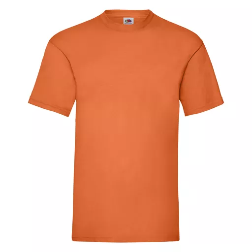 Men's Valueweight T-Shirt