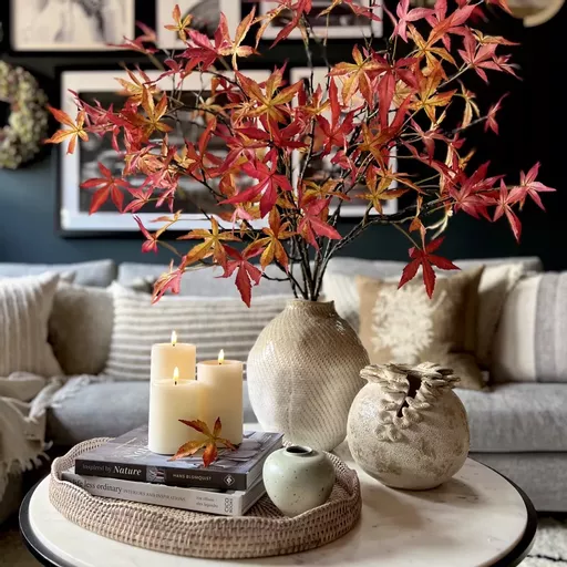 Red Maple Spray Branches