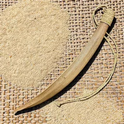 Egyptian Scoop `.jpg