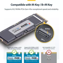 KyboFml_80K-0oyQuCErmA.c-r.jpg?