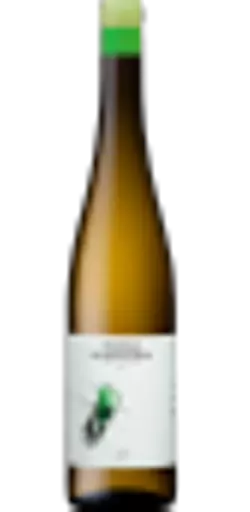 MAL-VER-TB2022-BUK.webp