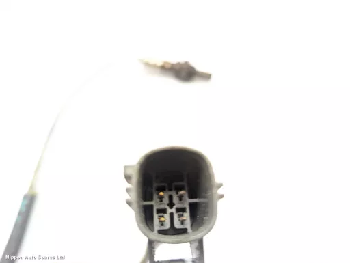 0fee3891-847e-40b2-8f21-3fb907dc8d67.jpeg?