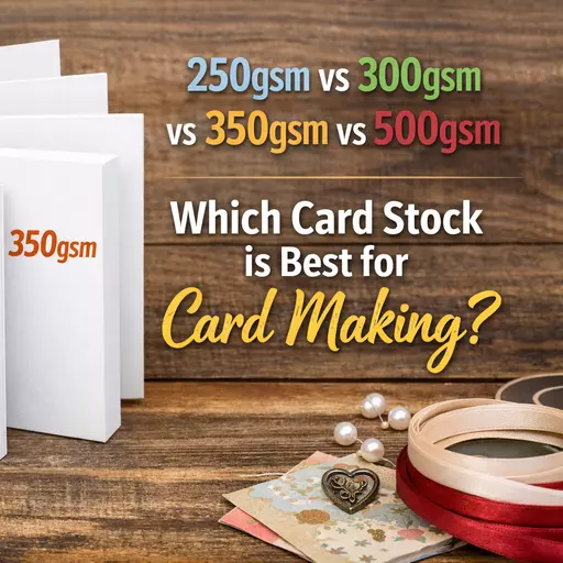 ChatGPT Image Feb 27, 2026, 11_29_52 AM.png