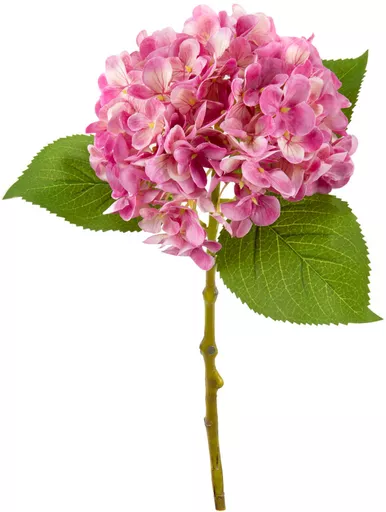 IT393809.jpg