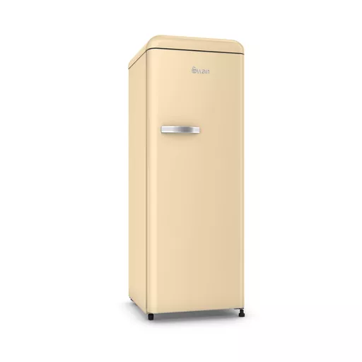 Retro Tall Fridge with Ice Box