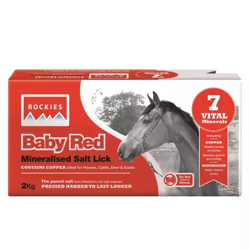 Rockies red salt lick 2kg