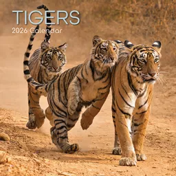 IT377202_1.jpg