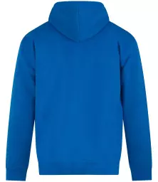 RX350%20SAP%20BACK.jpg?