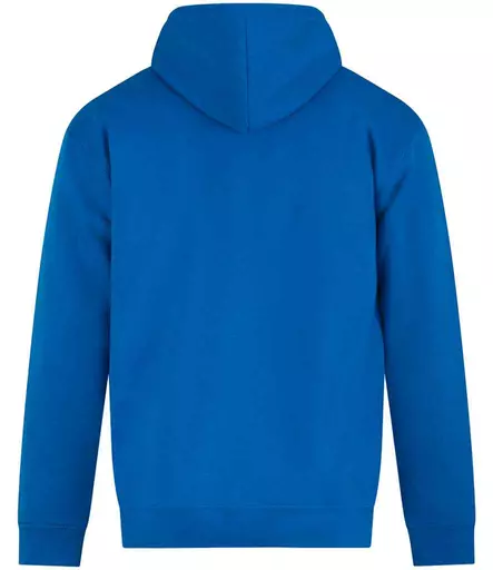 RX350%20SAP%20BACK.jpg?