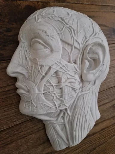 ets_mc_301_head_1.jpg