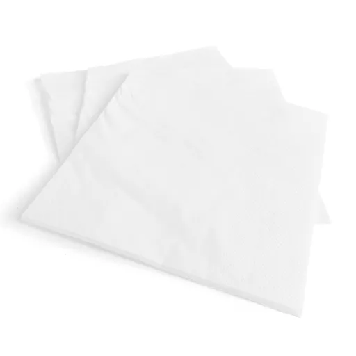 NAPKIN000092.jpg