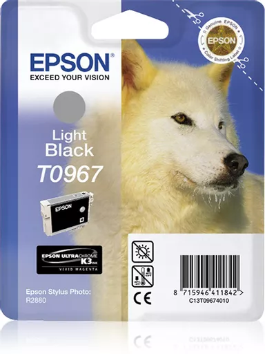 Epson C13T09674010/T0967 Ink cartridge light black, 6.21K pages 11.4ml for Epson Stylus Photo R 2880