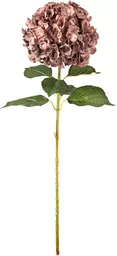 IT393781.jpg
