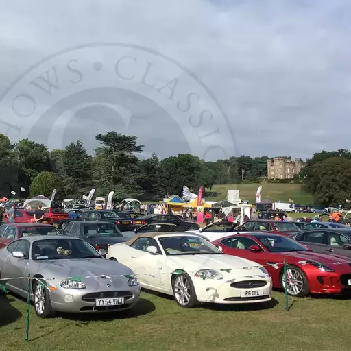 FESTIVAL OF 1000 CLASSIC CARS.webp