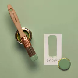 cricket sample.jpg
