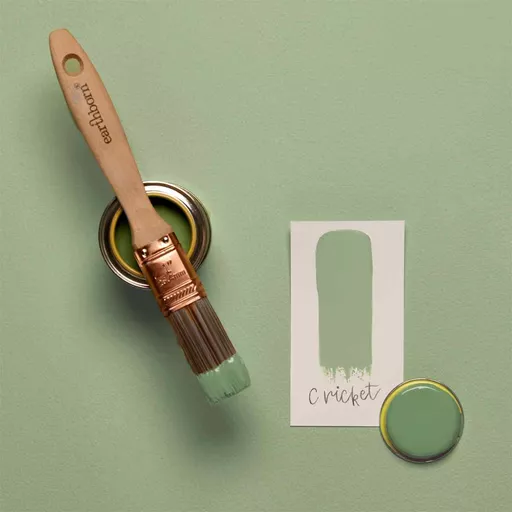 cricket sample.jpg