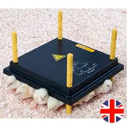 Comfort 30 Standard UK Plug.jpg
